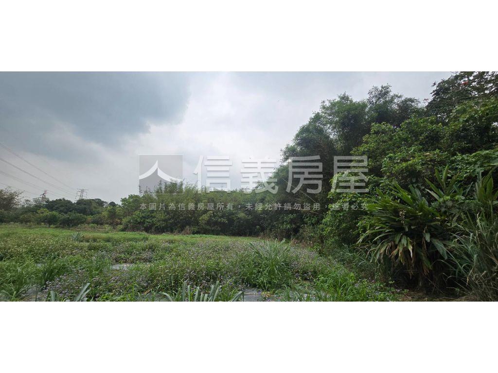 新化區近那拔國小農地房屋室內格局與周邊環境