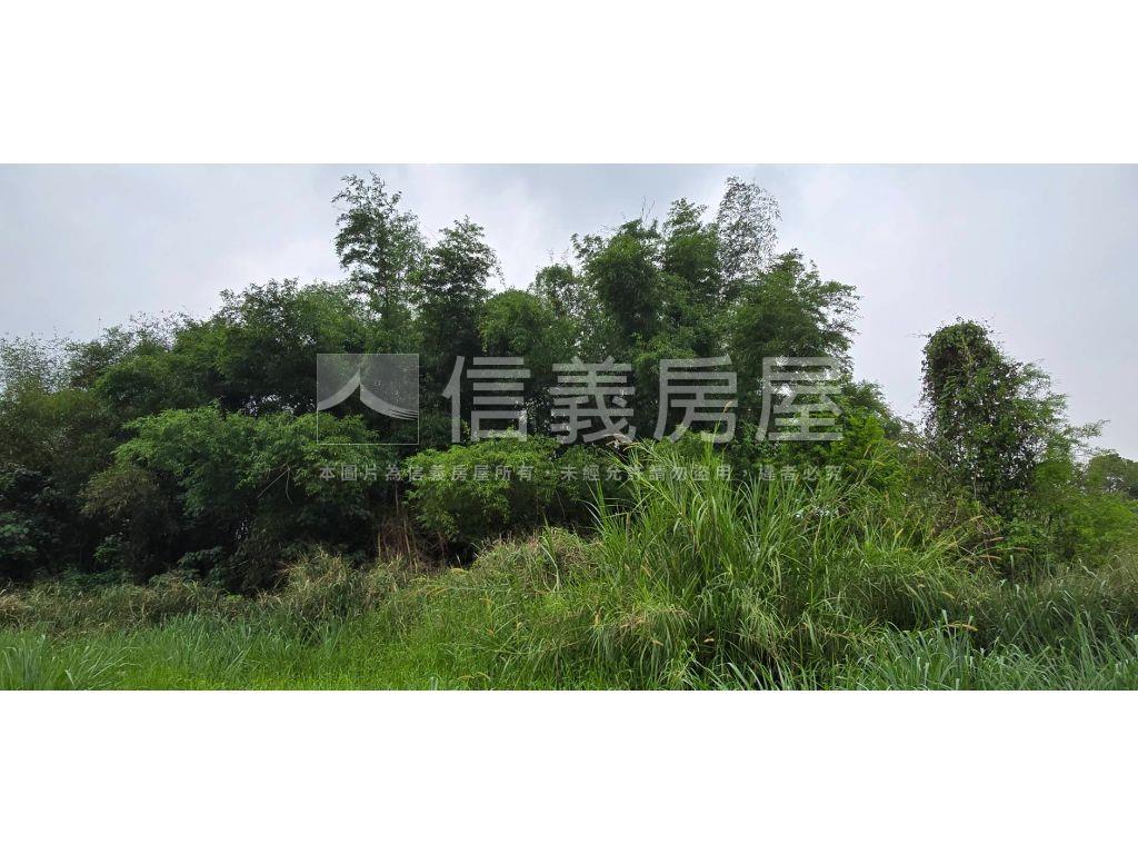 新化區近那拔國小農地房屋室內格局與周邊環境