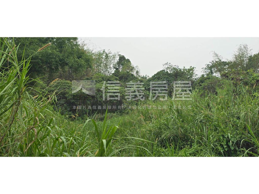 新化區近那拔國小農地房屋室內格局與周邊環境