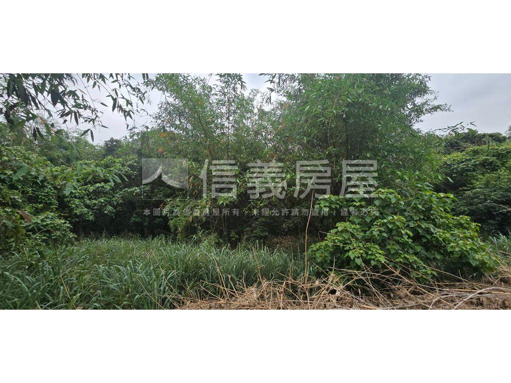 新化區近那拔國小農地房屋室內格局與周邊環境