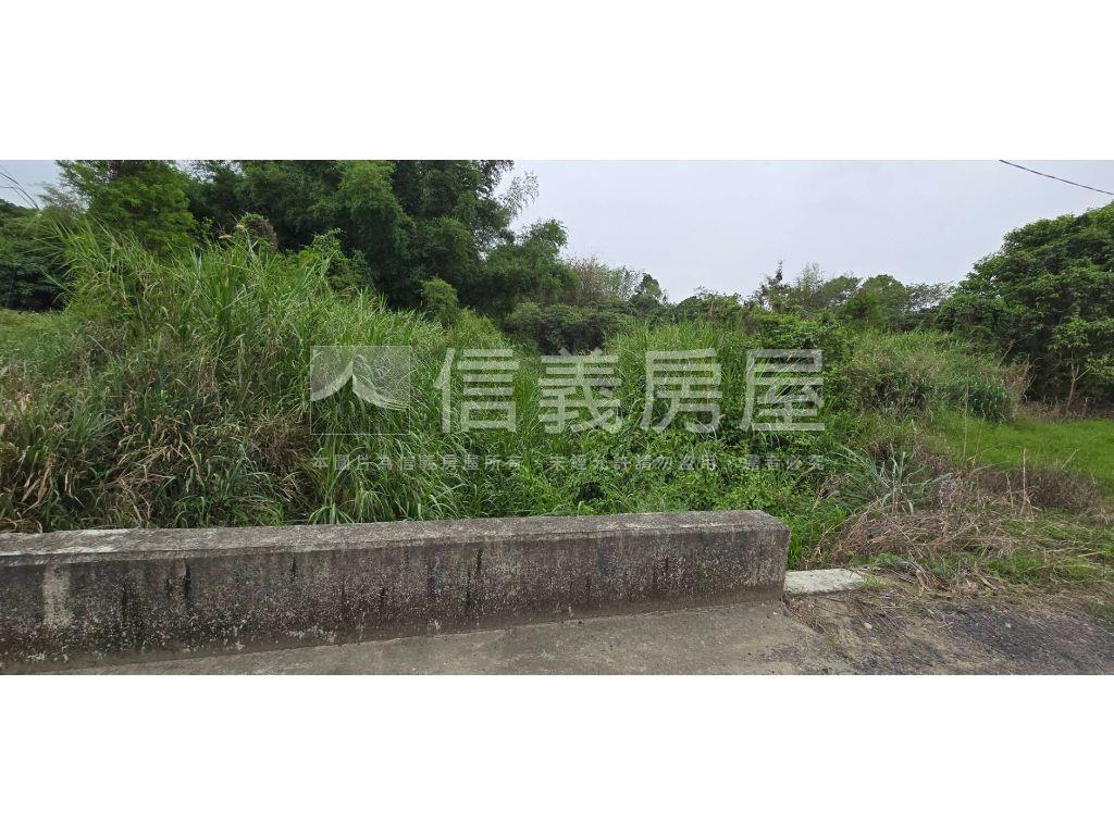 新化區近那拔國小農地房屋室內格局與周邊環境