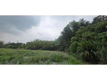 新化區近那拔國小農地