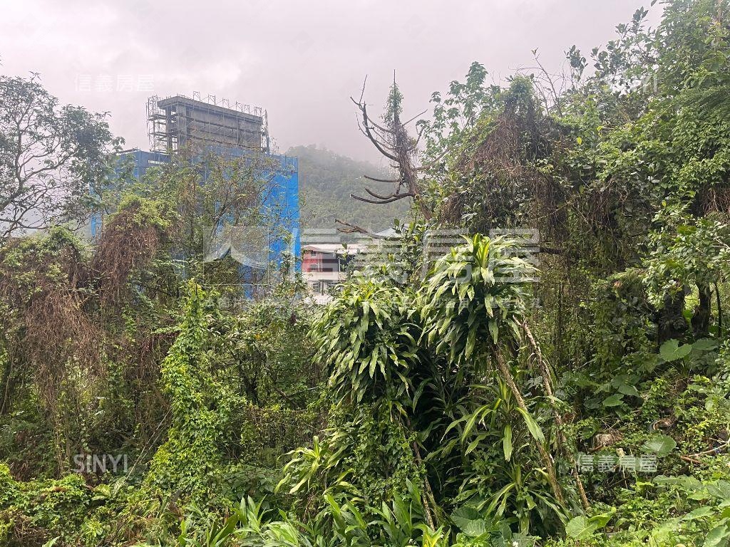 櫻花段稀有土地房屋室內格局與周邊環境
