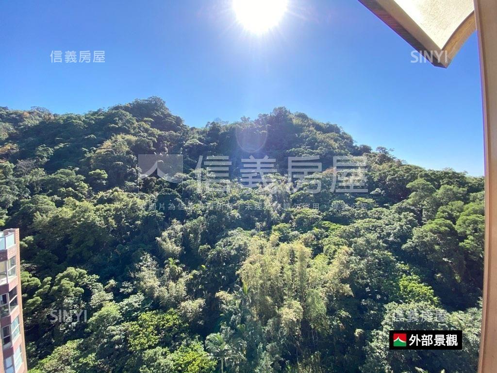 【精選】信義觀天帝景ＩＩ房屋室內格局與周邊環境