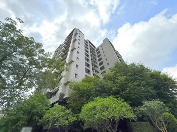 情定水蓮１３三房