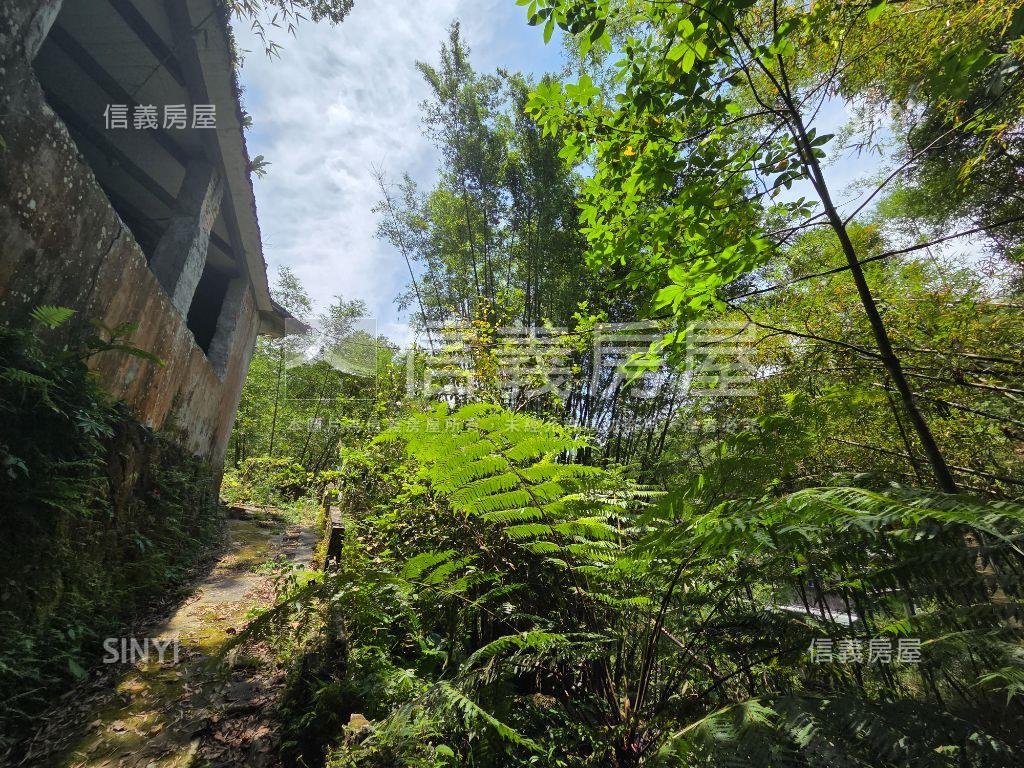 千坪新店自然林土地房屋室內格局與周邊環境