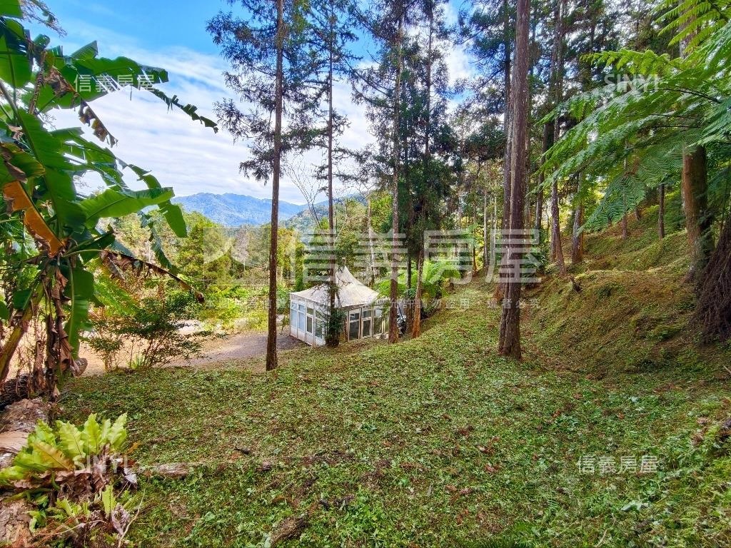 近五指山芬多精休閒土地房屋室內格局與周邊環境