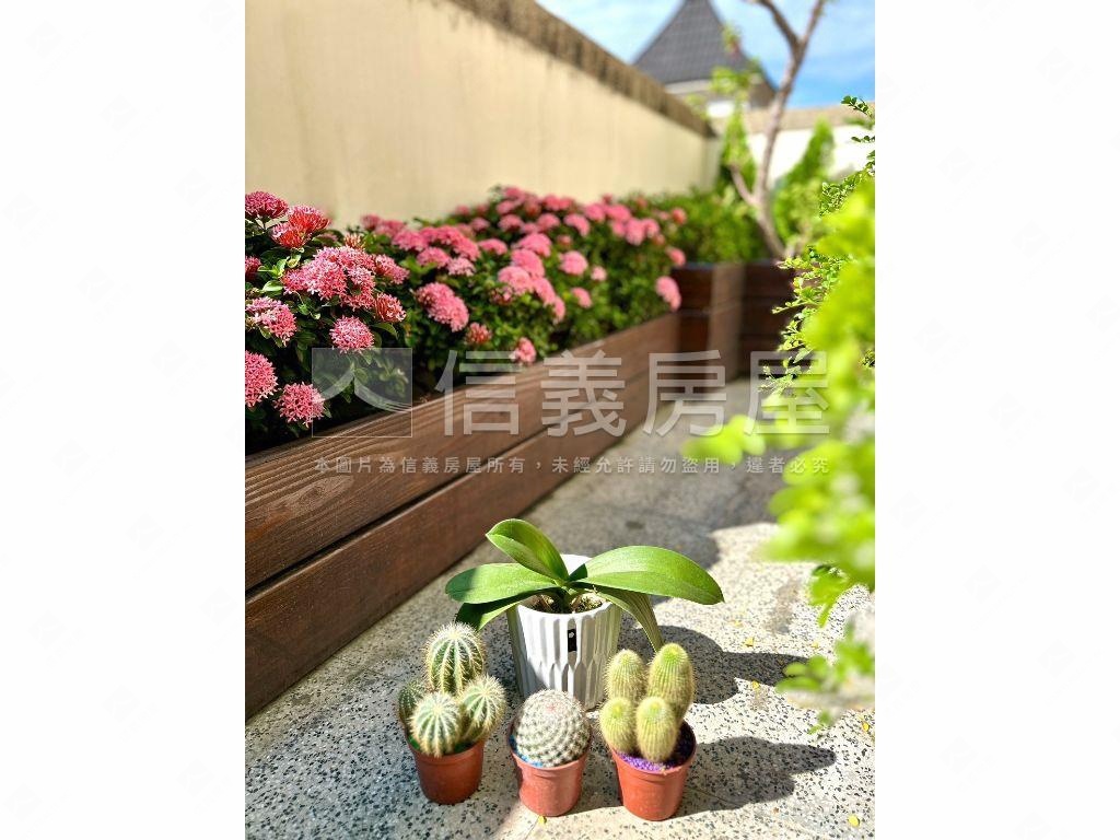 專－台中公園別墅！大面寬房屋室內格局與周邊環境