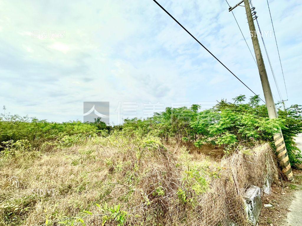 橋頭頂塩田段一小段農地２房屋室內格局與周邊環境