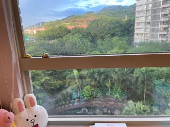 台北人面中庭樹海兩房