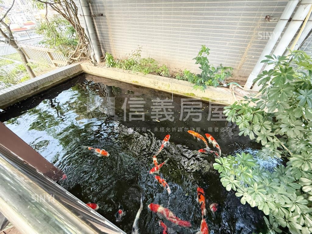 首相●忠誠路景觀美豪邸房屋室內格局與周邊環境