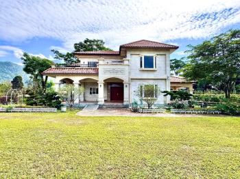 萬馬奔騰百坪綠地農莊