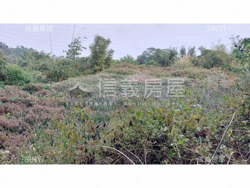 關廟千坪收租農地房屋室內格局與周邊環境