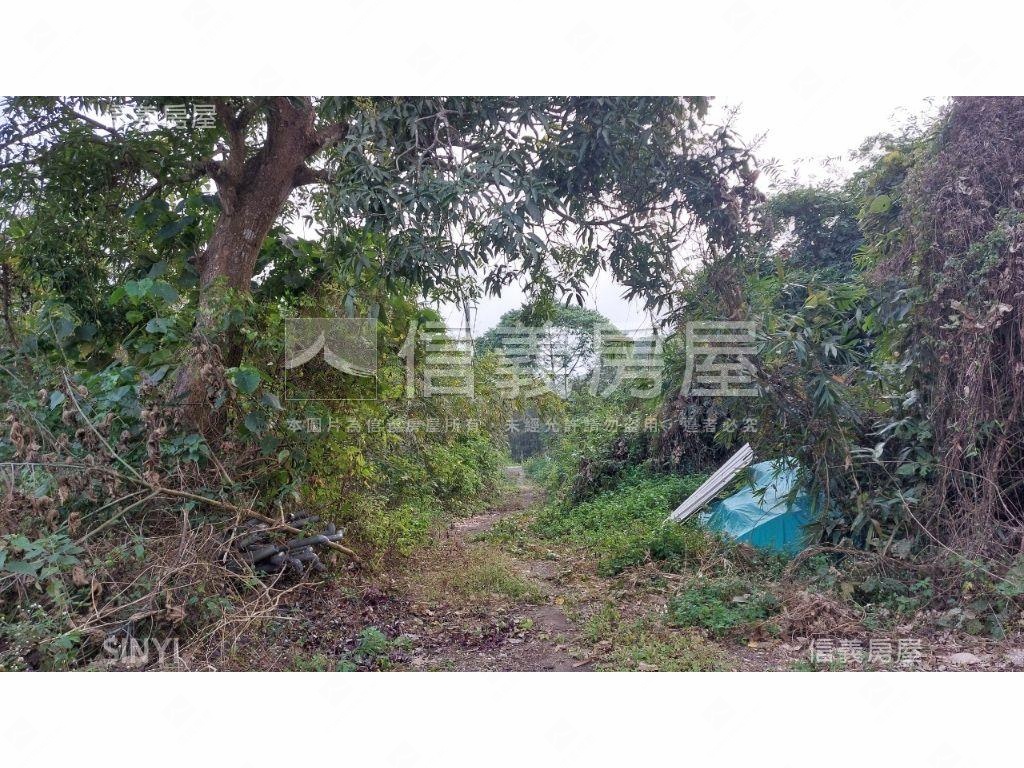 關廟千坪收租農地房屋室內格局與周邊環境