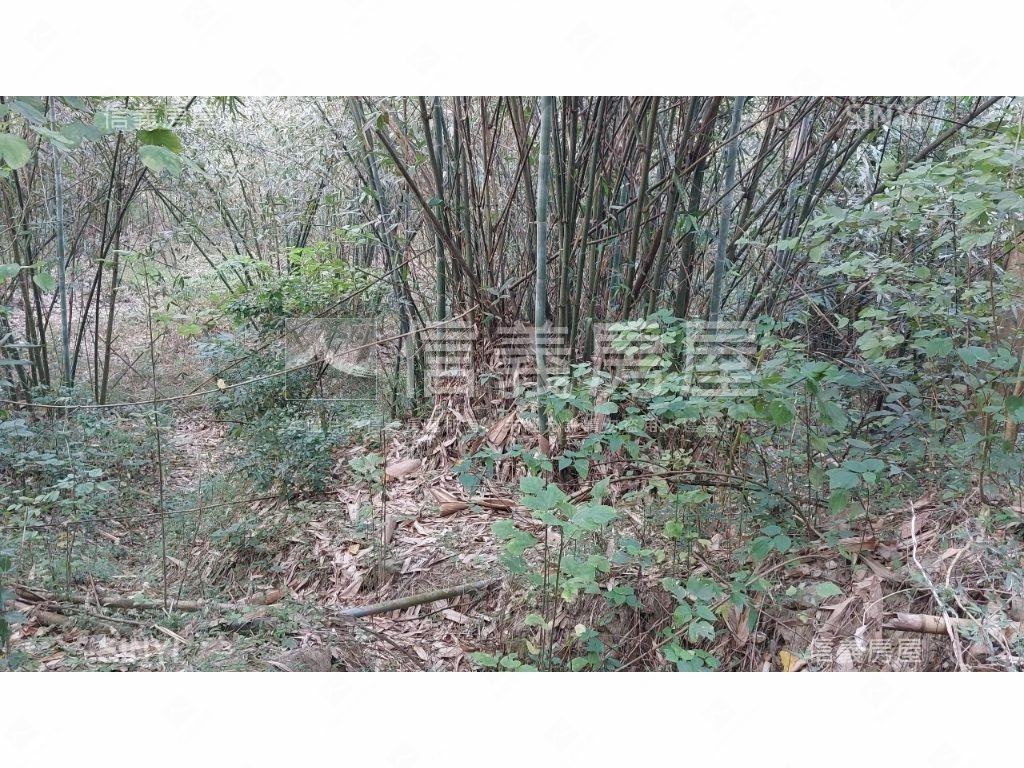 關廟千坪收租農地房屋室內格局與周邊環境