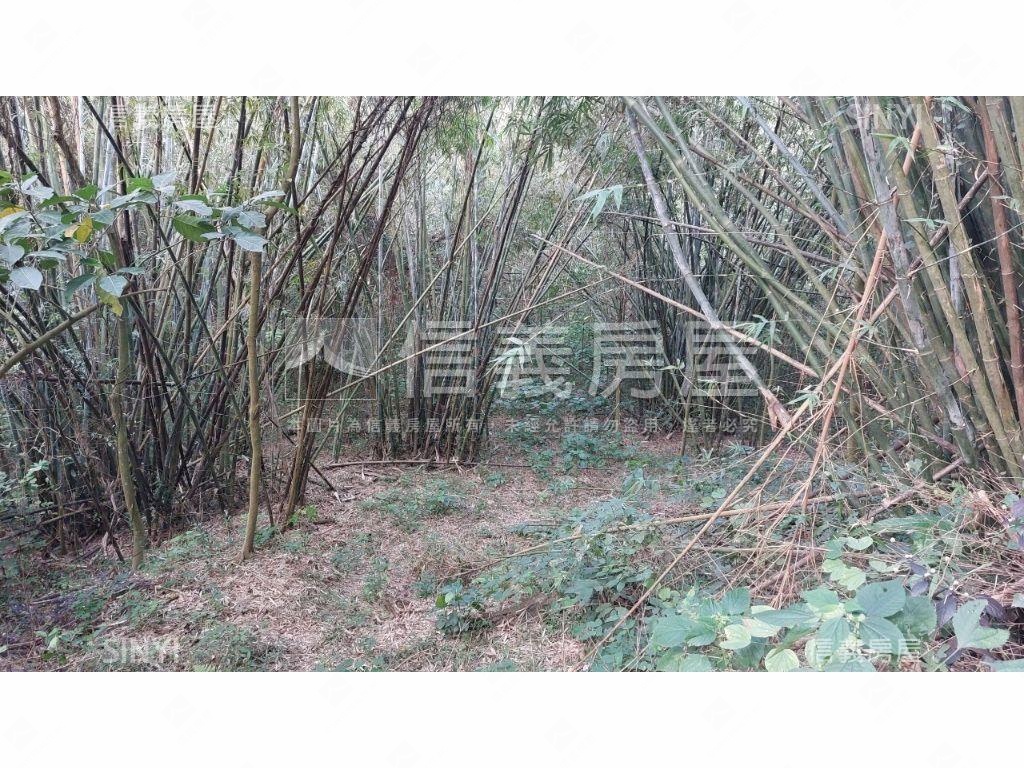 關廟千坪收租農地房屋室內格局與周邊環境
