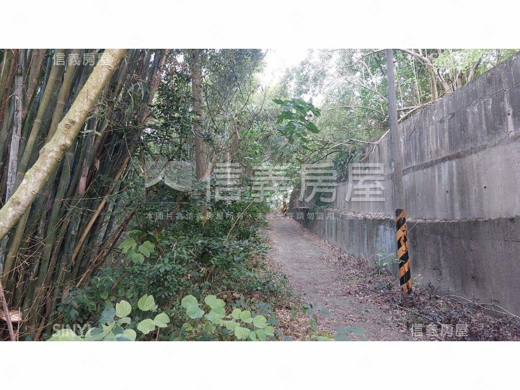 關廟千坪收租農地房屋室內格局與周邊環境