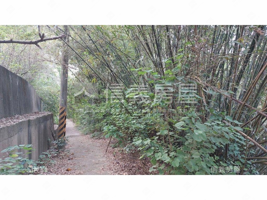 關廟千坪收租農地房屋室內格局與周邊環境