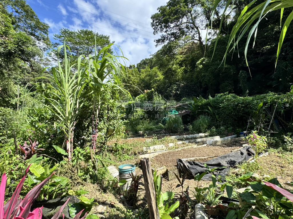 綠意環繞住二土地房屋室內格局與周邊環境
