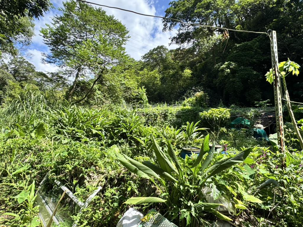綠意環繞住二土地房屋室內格局與周邊環境