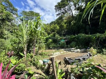 綠意環繞住二土地