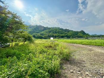 高雄六龜｜臨路風景美地