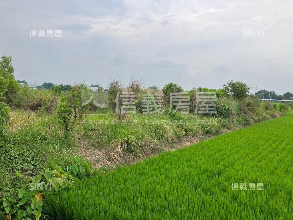 稀有釋出✪彰南路農舍房屋室內格局與周邊環境