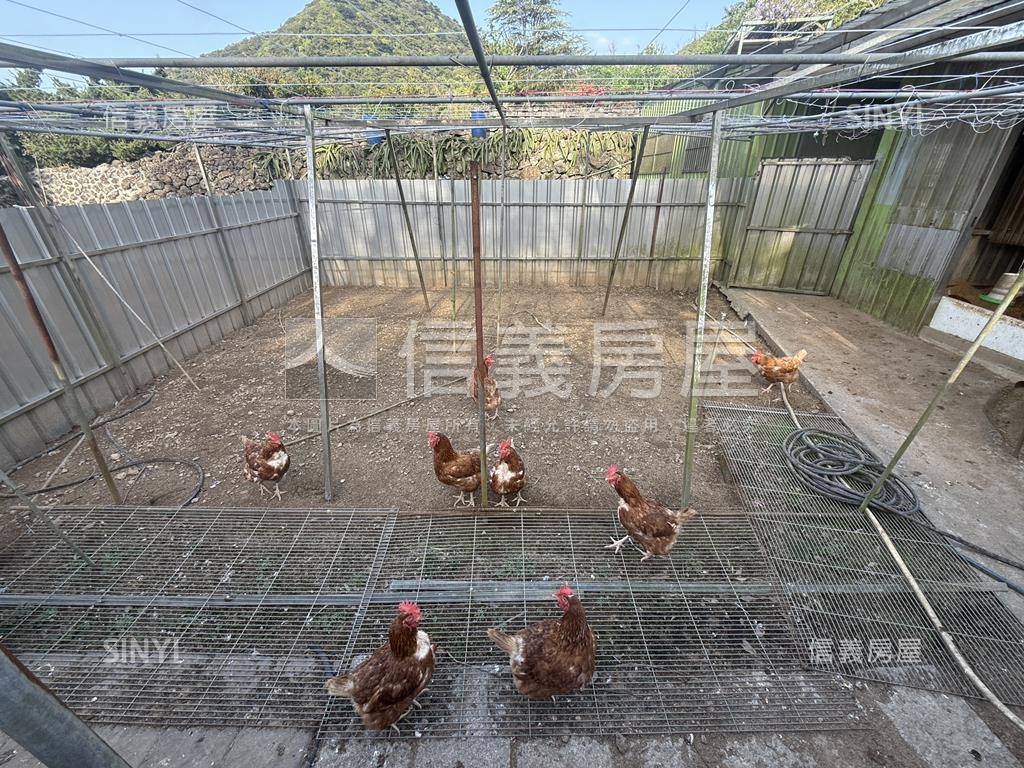 陽明山百六戛美麗仙境房屋室內格局與周邊環境