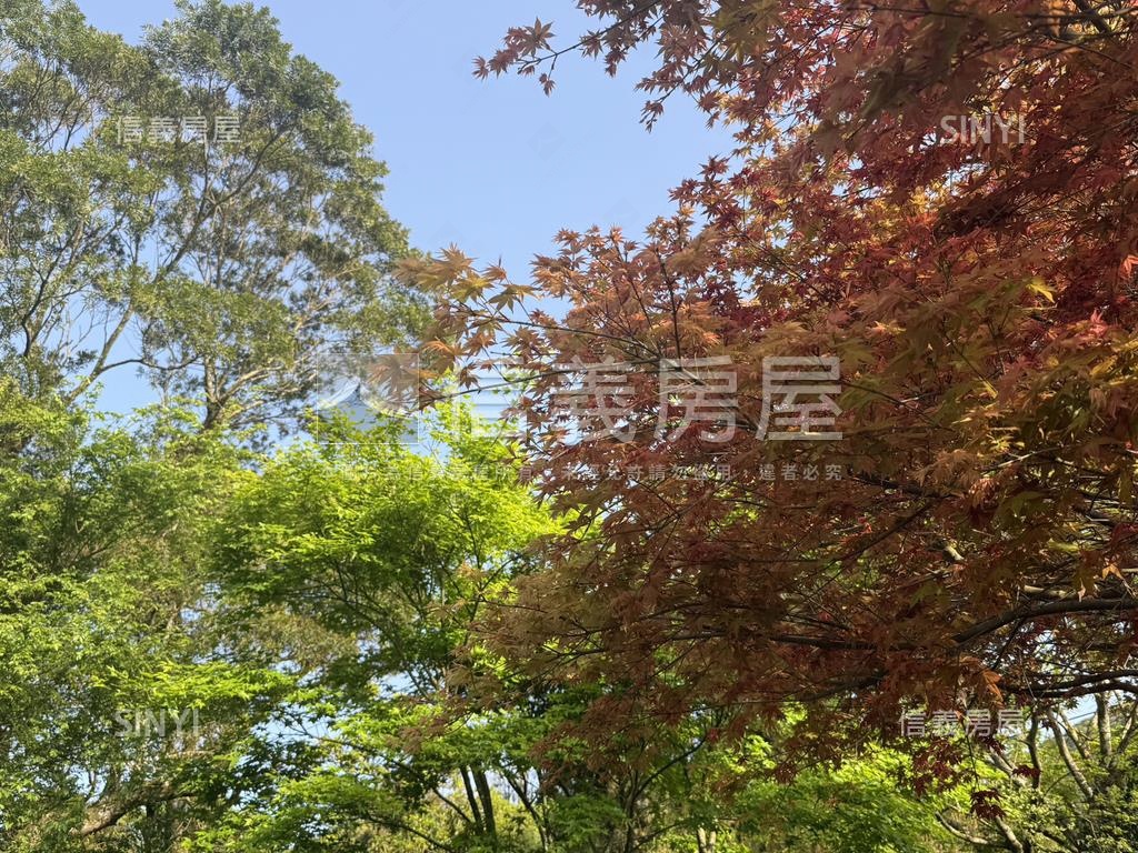 陽明山百六戛美麗仙境房屋室內格局與周邊環境