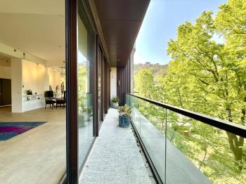 馬年賀歲－陽明山至寶