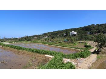 三芝農地好便宜