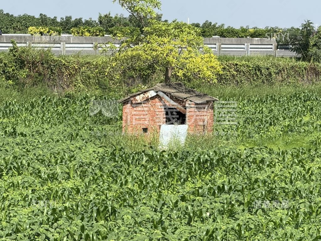 新營建國段約２．３分農地房屋室內格局與周邊環境