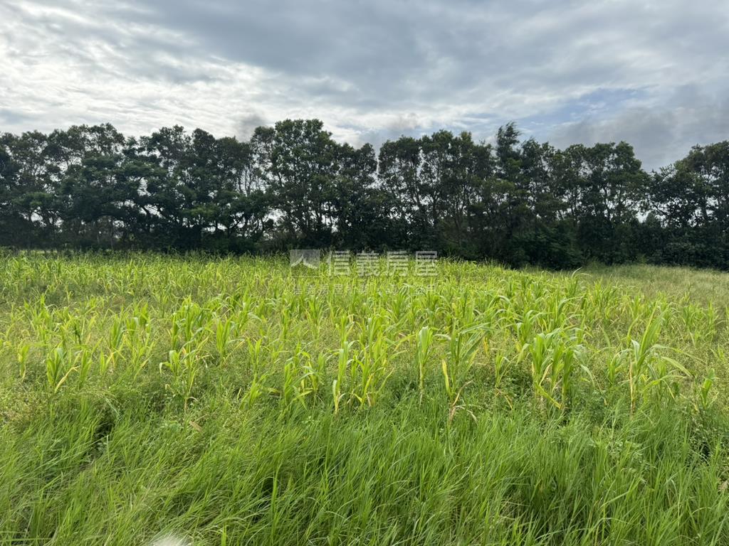 大園區千坪交通用地房屋室內格局與周邊環境