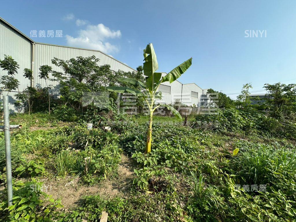 大里臨路方正農地Ａ房屋室內格局與周邊環境