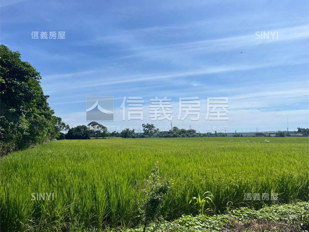 新豐農地１房屋室內格局與周邊環境