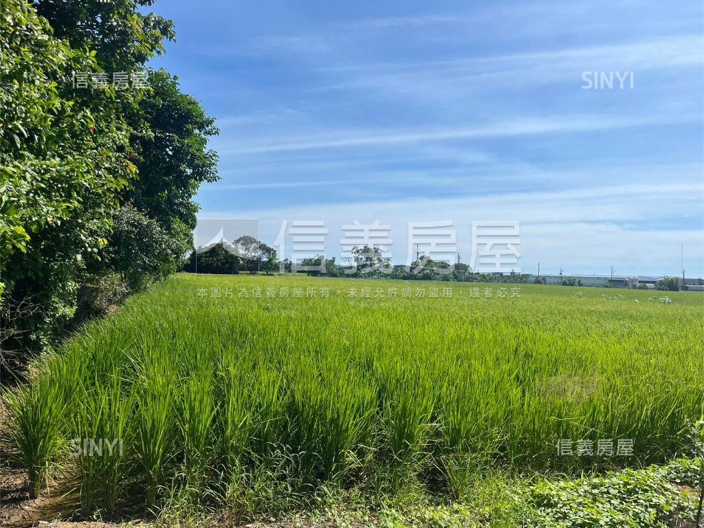 新豐農地１房屋室內格局與周邊環境