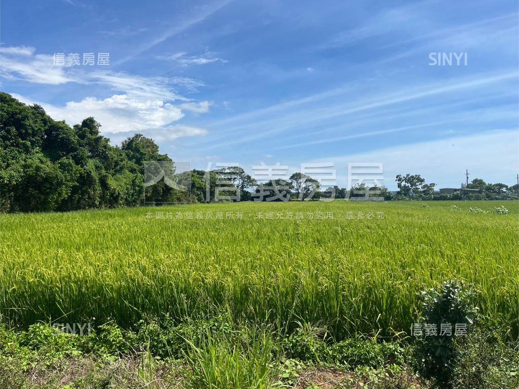 新豐農地１房屋室內格局與周邊環境