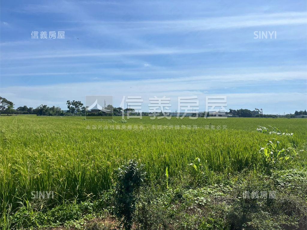 新豐農地１房屋室內格局與周邊環境