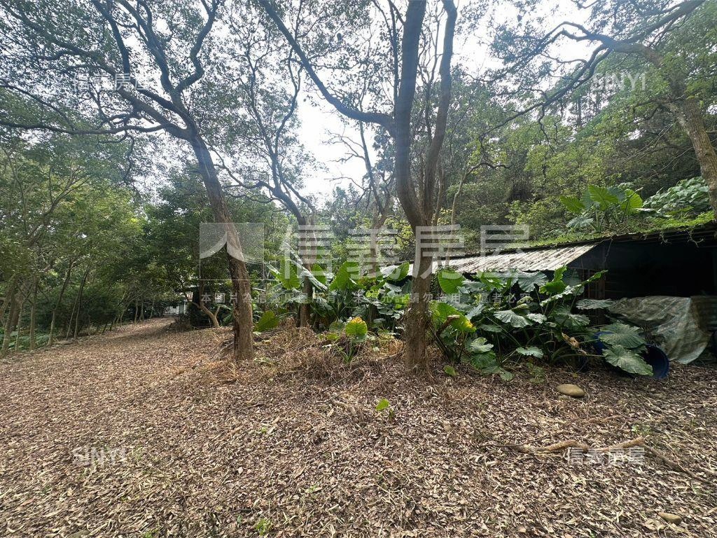 佛光山山峰美景農舍土地房屋室內格局與周邊環境