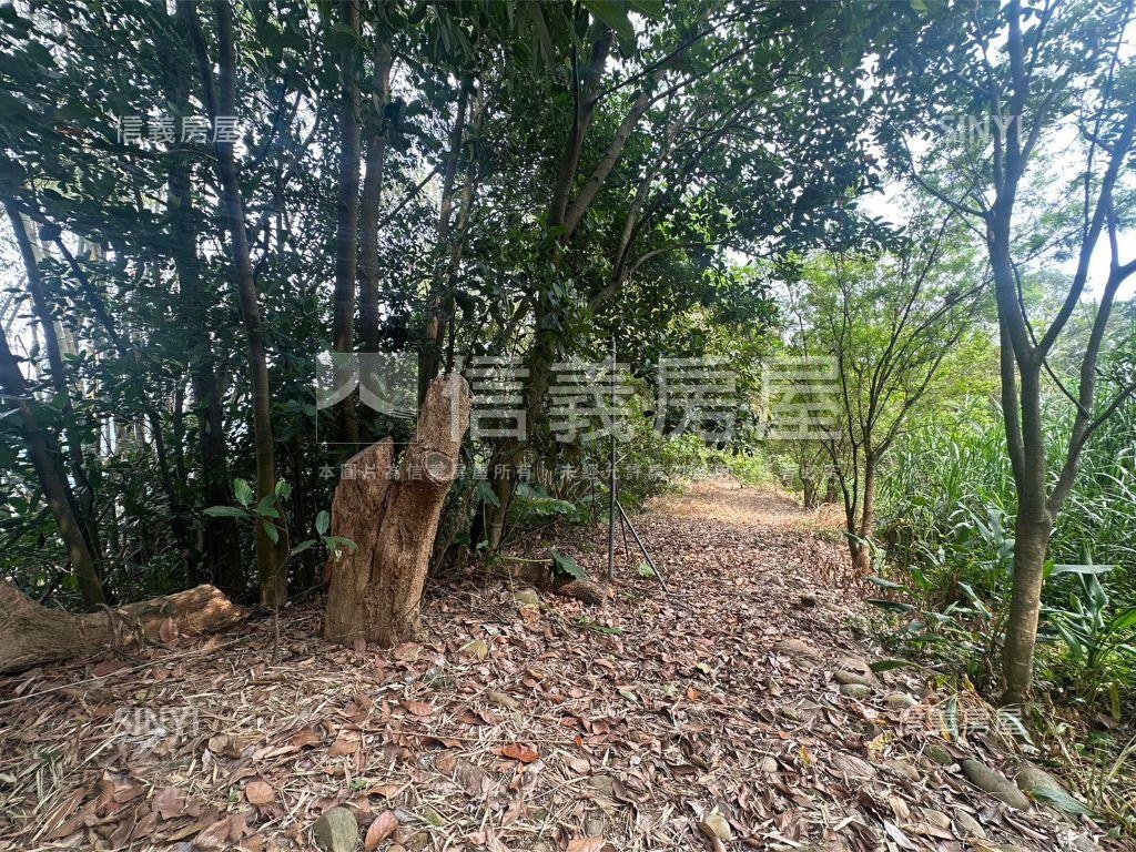 佛光山山峰美景農舍土地房屋室內格局與周邊環境