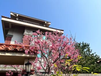 直潭三代同堂別墅心想事成