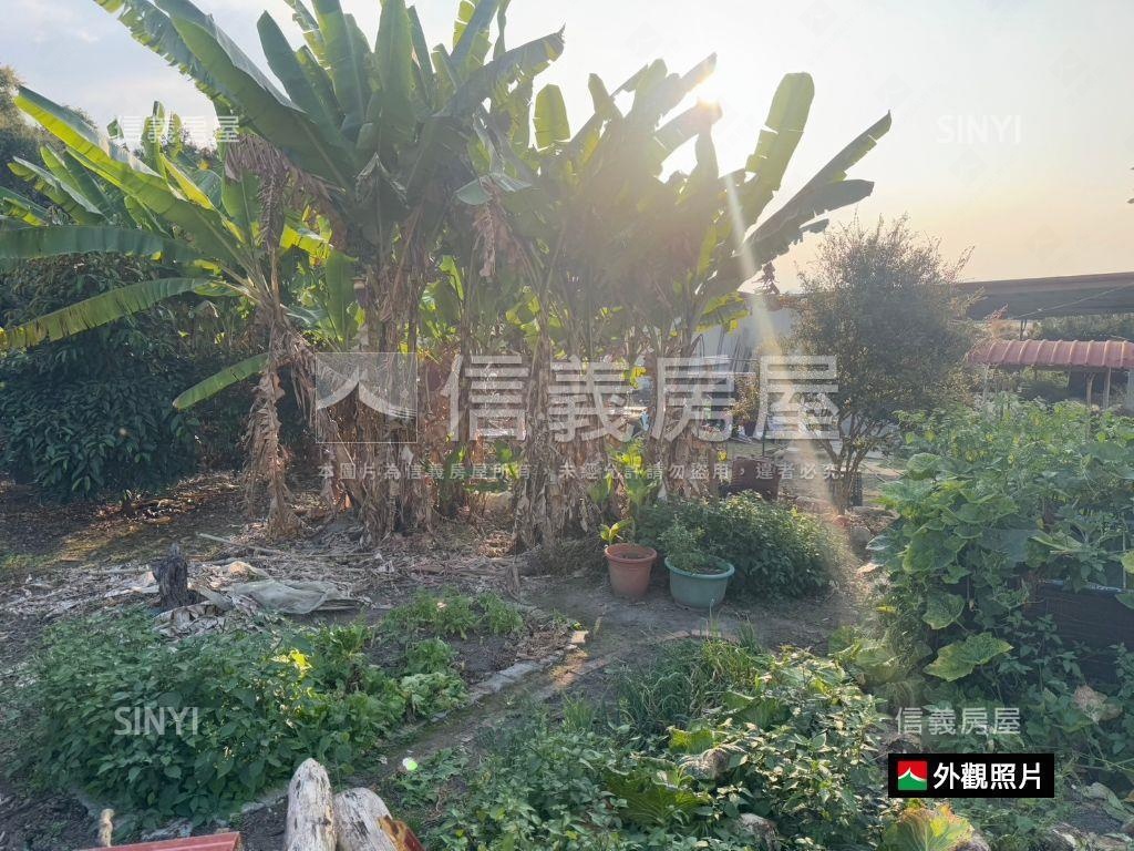 高雄杉林區乙建＋交通土地房屋室內格局與周邊環境