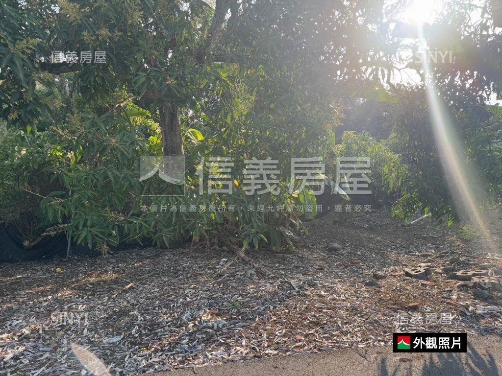 高雄杉林區乙建＋交通土地房屋室內格局與周邊環境