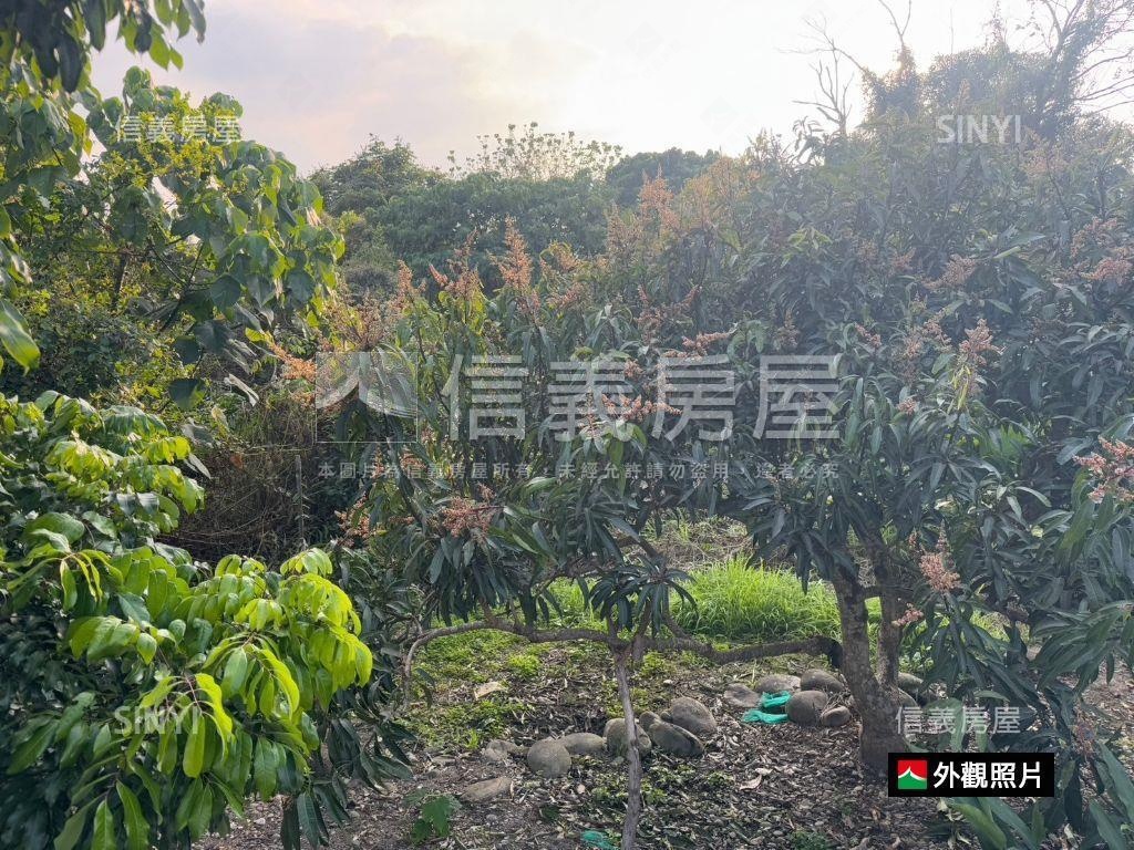 高雄杉林區乙建＋交通土地房屋室內格局與周邊環境