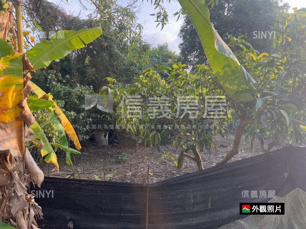 高雄杉林區乙建＋交通土地房屋室內格局與周邊環境