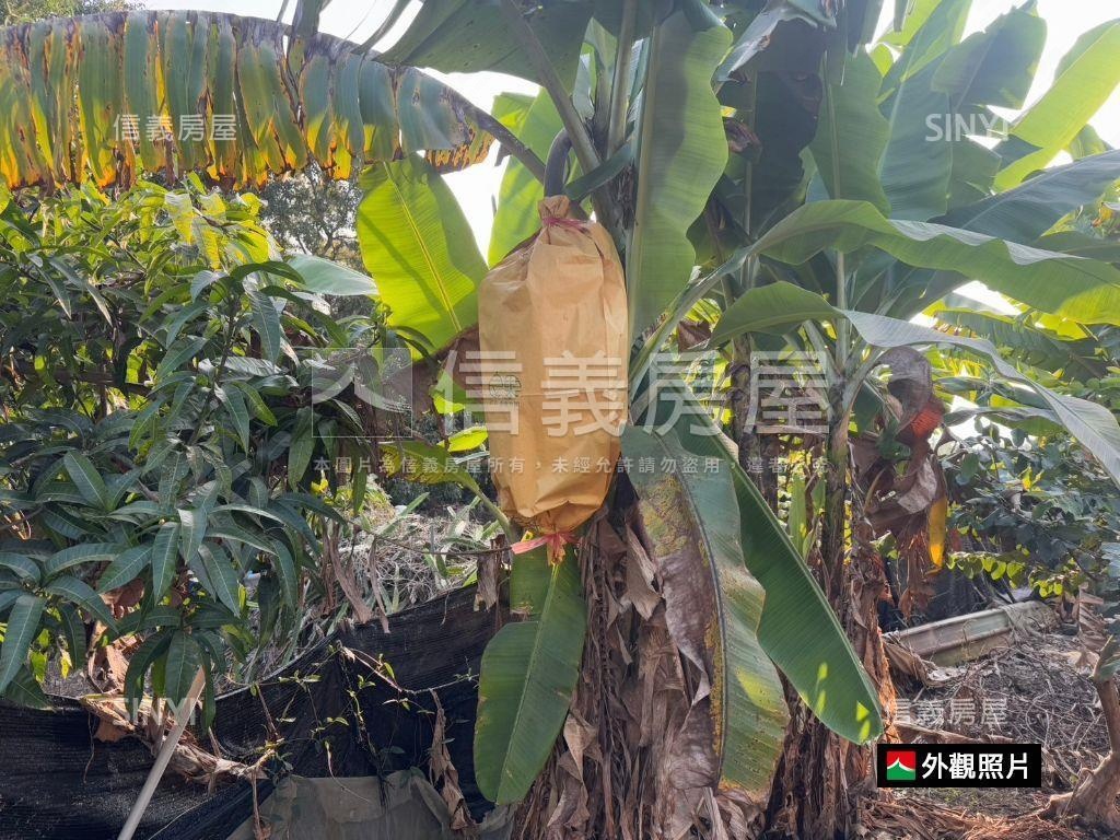 高雄杉林區乙建＋交通土地房屋室內格局與周邊環境