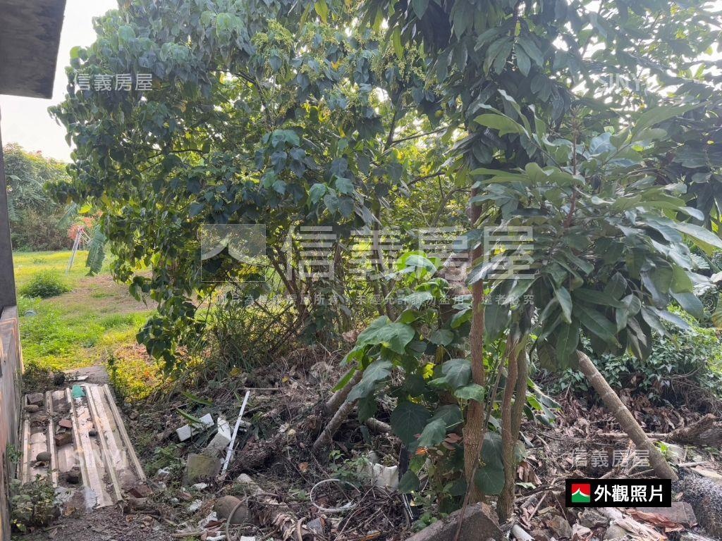 高雄杉林區乙建＋交通土地房屋室內格局與周邊環境