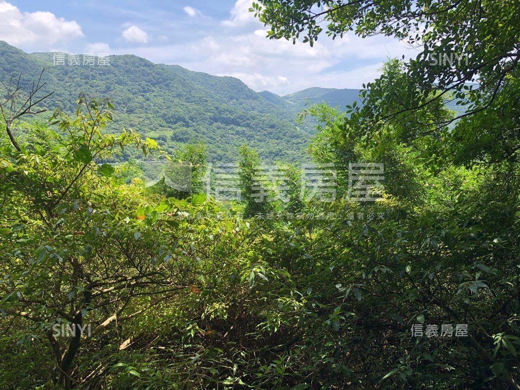 陽明山公園幽靜好地房屋室內格局與周邊環境
