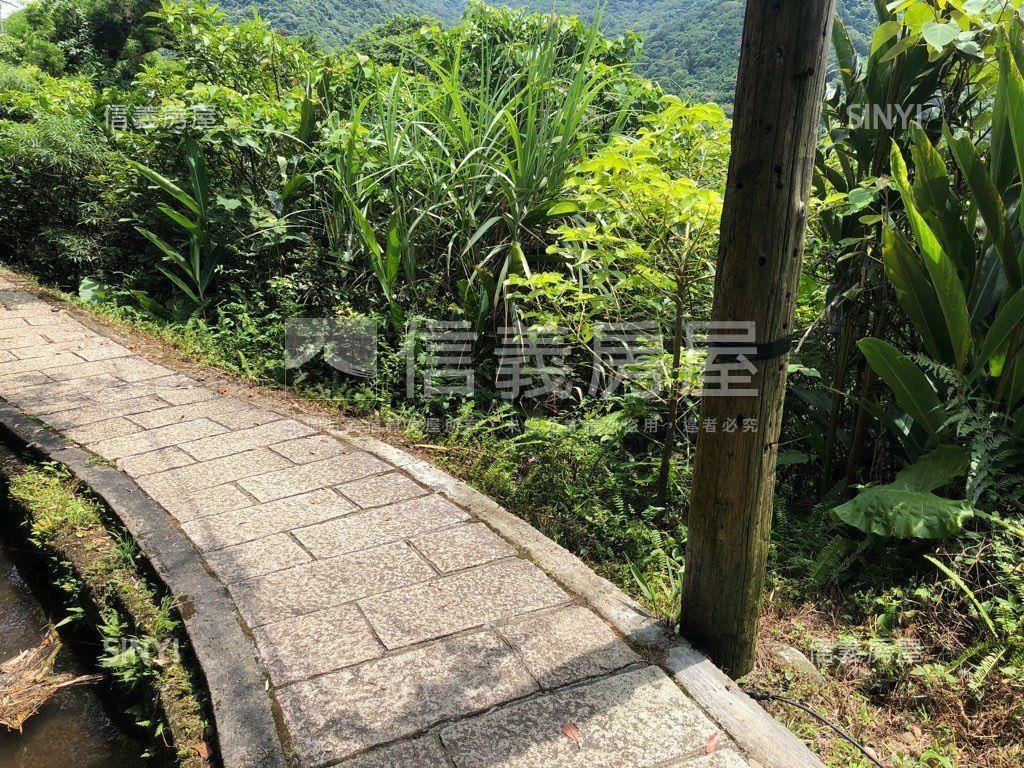 陽明山公園幽靜好地房屋室內格局與周邊環境