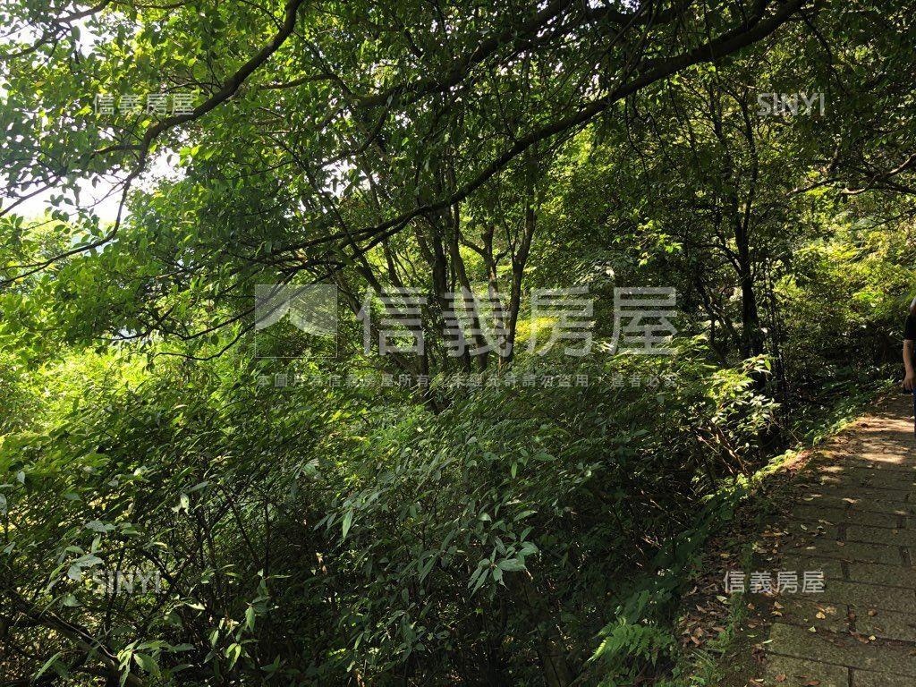 陽明山公園幽靜好地房屋室內格局與周邊環境